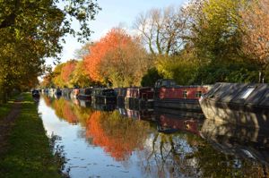 Photo 12- click for photo gallery